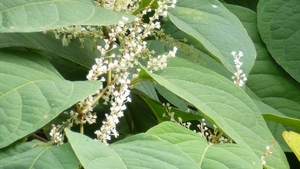 P1000847