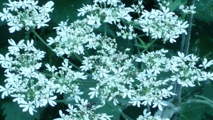 P1000848