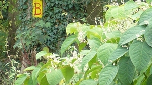 P1000850