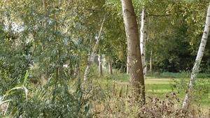P1020084