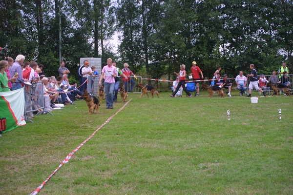 Sappenmeer clubm 175