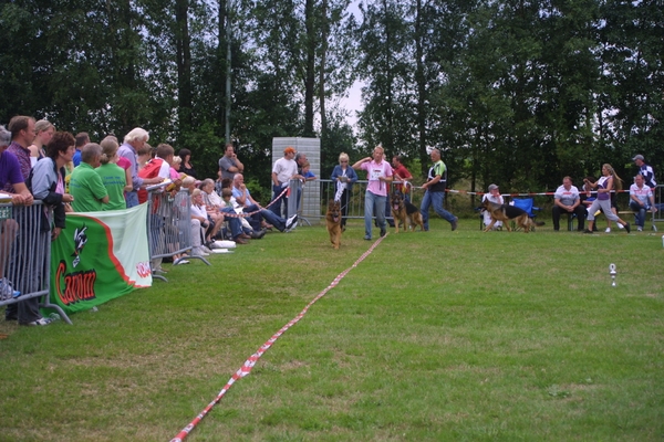 Sappenmeer clubm 180