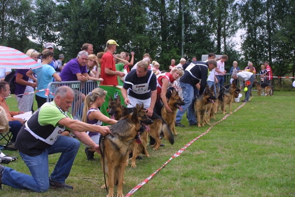 Sappenmeer clubm 188