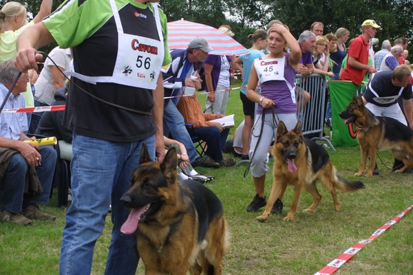 Sappenmeer clubm 189