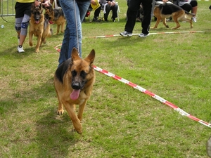clubmatch 069
