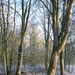 Afbeelding 001