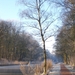 Afbeelding 012