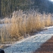 Afbeelding 013