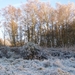 Afbeelding 021