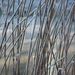 Afbeelding 056
