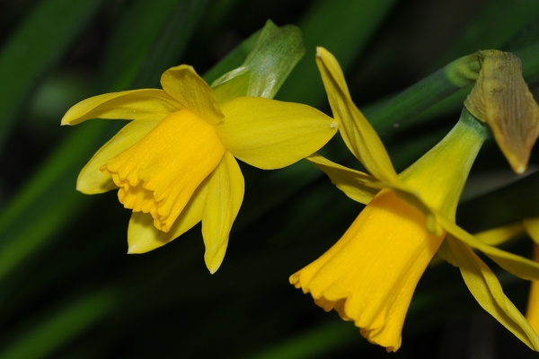 NIK_20090316_182447a