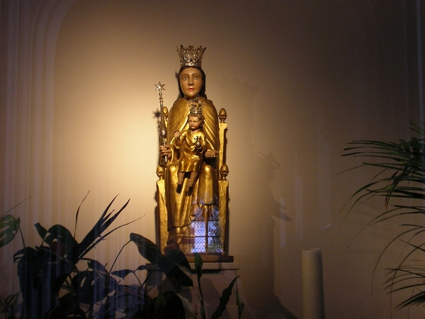 Janssens Pharma (19)