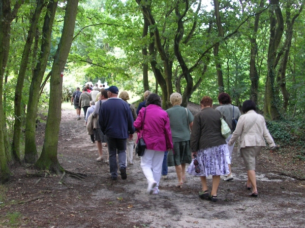 Janssens Pharma (30)