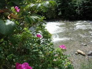 Mayrhofen 2009