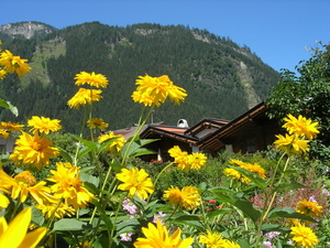 Mayrhofen 2009