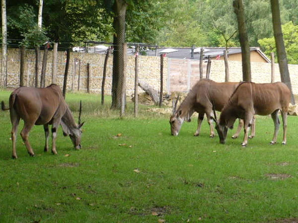 P1020047
