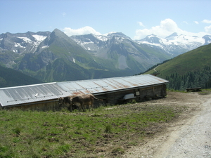 Eggalm Lanersbach