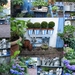 tuin-blauw