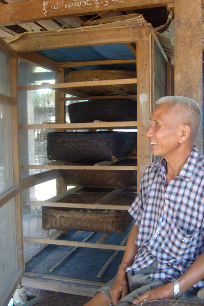 Tam Samaai en lichaamstaal