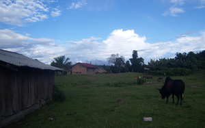 Ban Nam Houy