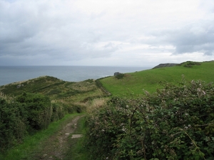 IMG_1970
