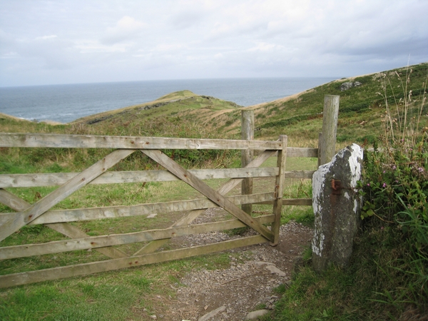 IMG_1971