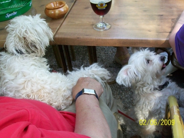 top-hat 2 Juni 2009 035