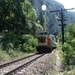 Grot Vadu Crisului trein