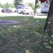 Camping Eldorado0063