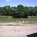 Camping Eldorado0081
