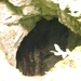 Trip3428