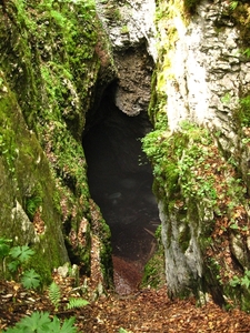 Trip3526