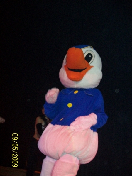 tophat 9 Mei  2009  Beerst 039