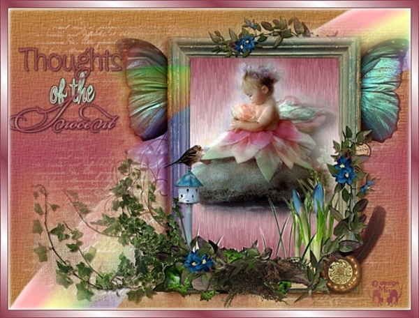 thoughts of the innocent