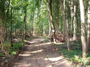 Wandeltocht Moen aug.2008 011