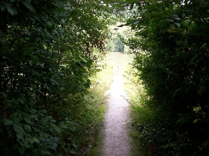 Wandeltocht Moen aug.2008 021