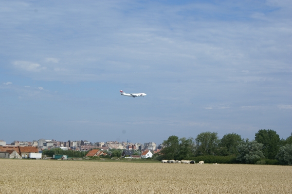 20090805-Middelkerke (29)