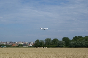 20090805-Middelkerke (31)