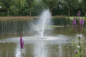 20090805-Middelkerke A300 (13)