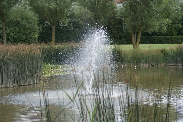 20090805-Middelkerke A300 (14)