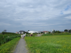 DSC00648