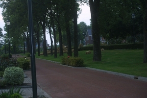 Stro Kommerzijl 038