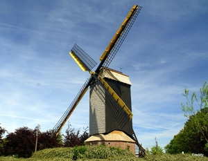 Grijspeerdmolen-Hooglede-Gits