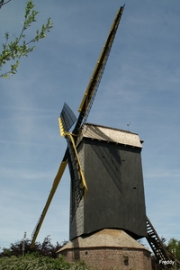 Grijspeerdmolen-Hooglede-Gits