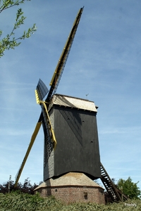 Grijspeerdmolen-Hooglede-Gits