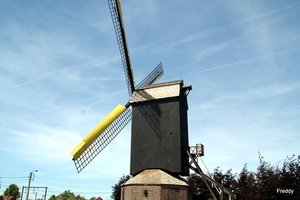 Grijspeerdmolen-Hooglede-Gits