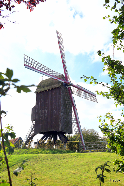 De Meesters-Molen-Oostvleteren-1746