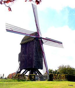 De Meesters-Molen-Oostvleteren-1746