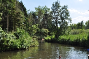 Dommel 5