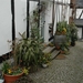Freudenberg 024